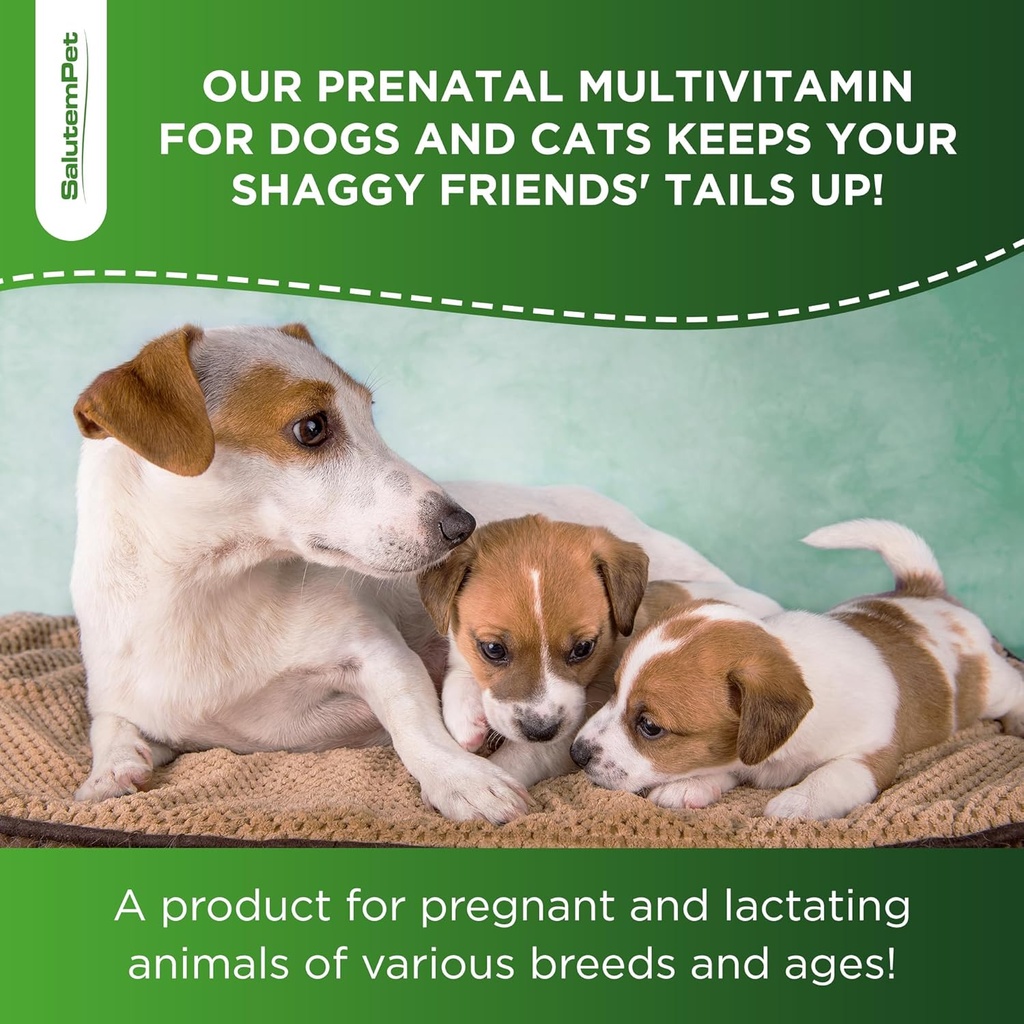 dog-prenatal-vitamins-for-moms-during-la-6.jpg