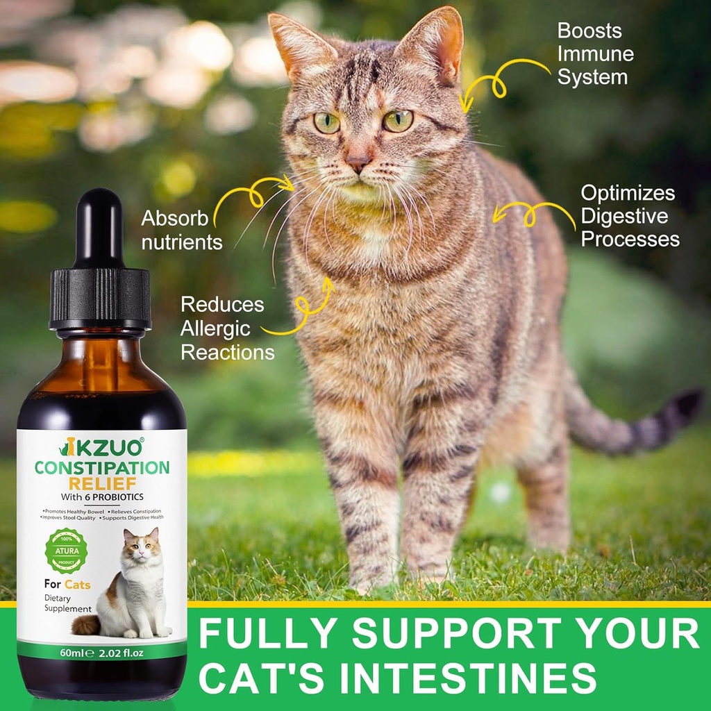 cat-constipation-relief---natural-laxati-5.jpg