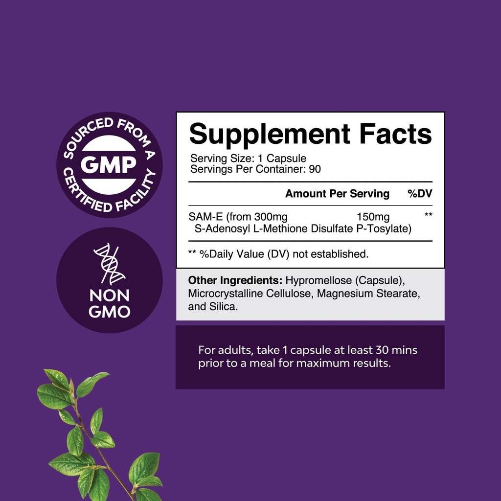 bundle-of-pure-sam-e-nootropic-brain-sup-2.jpg