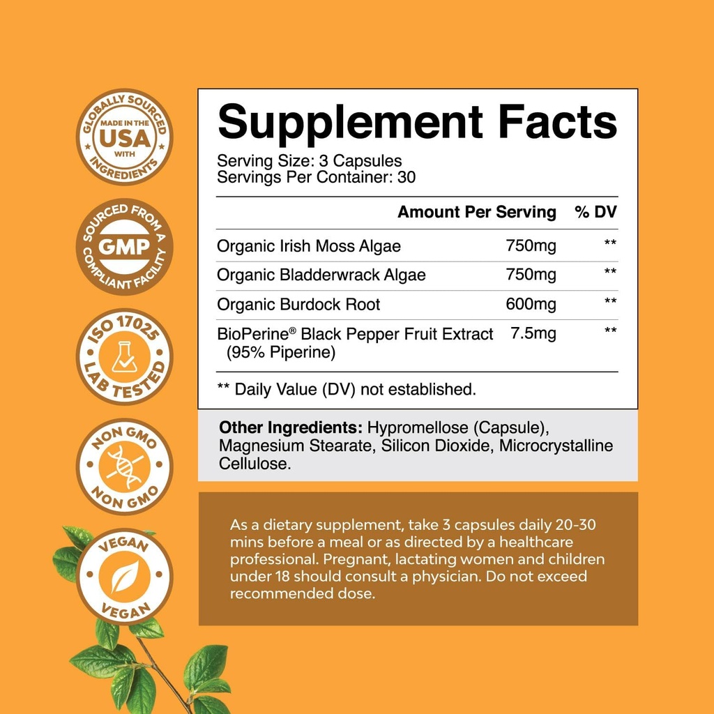 bundle-of-pure-sam-e-nootropic-brain-sup-3.jpg