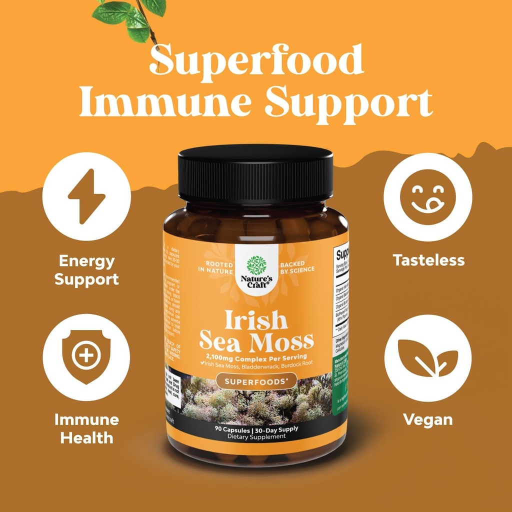 bundle-of-pure-sam-e-nootropic-brain-sup-5.jpg
