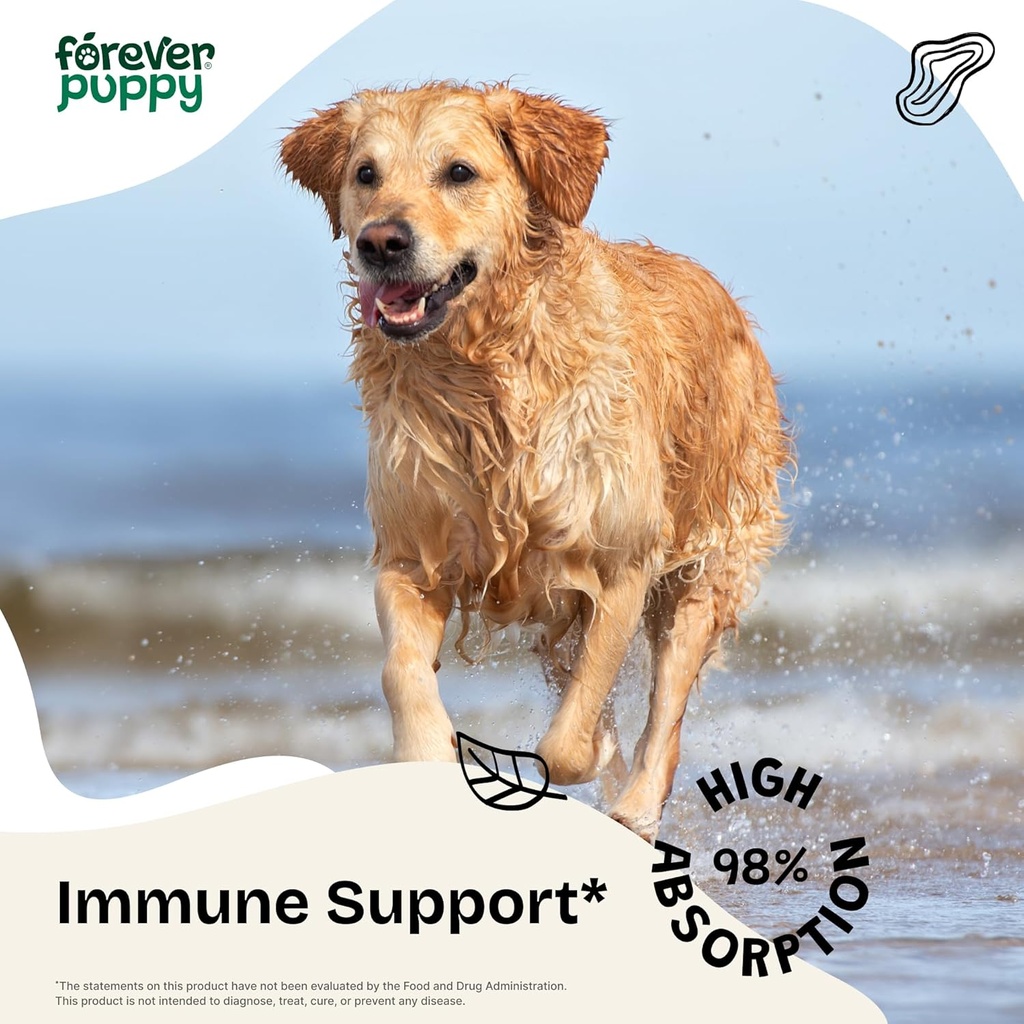 reishi-mushroom-drops-for-dogs---immune--2.jpg