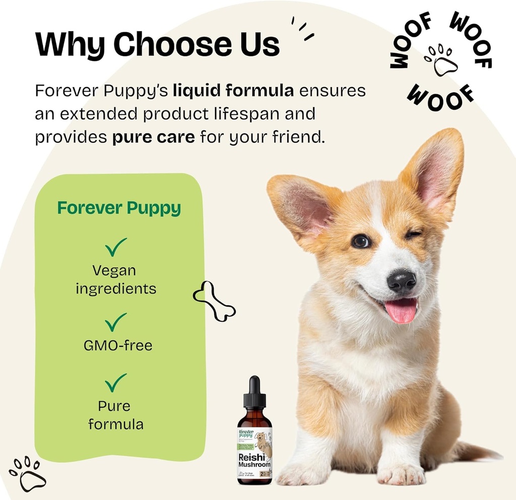reishi-mushroom-drops-for-dogs---immune--6.jpg