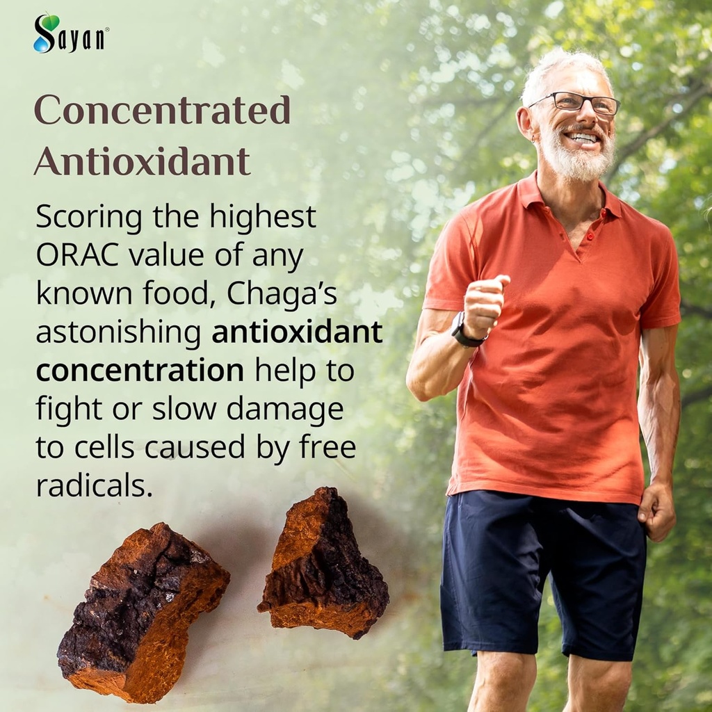 sayan-siberian-pure-raw-chaga-mushroom-c-6.jpg