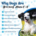 pawz-probiotic-powder-for-dogs---90-scoo-2.jpg