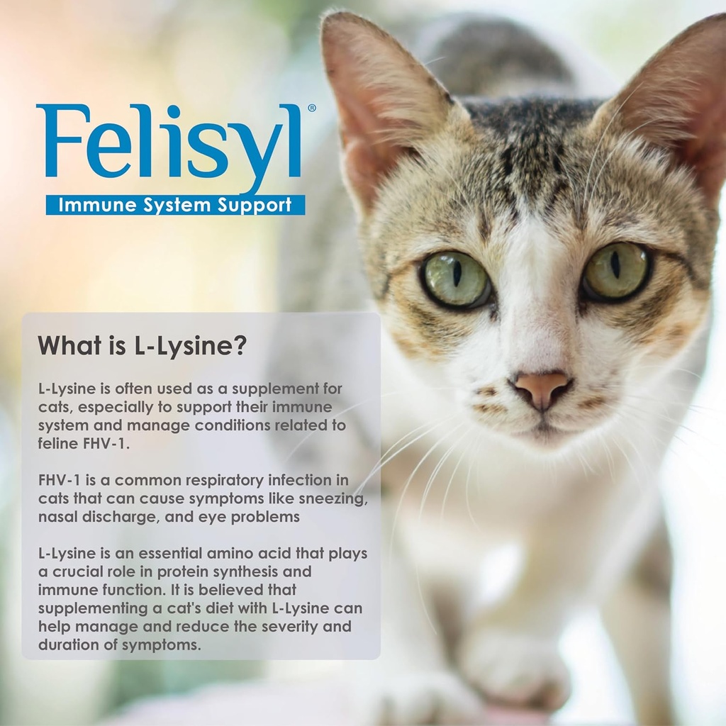 l-lysine-gel-for-cats-5oz-supports-immun-6.jpg