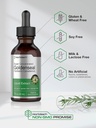 horbaach-goldenseal-root-tincture-1-fl-o-4.jpg