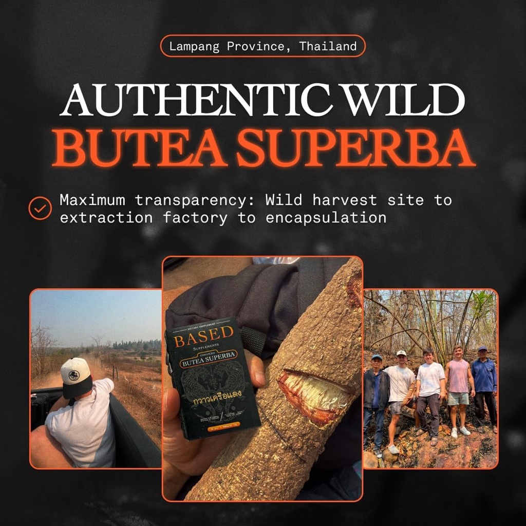 butea-superba-extract---traditional-thai-2.jpg