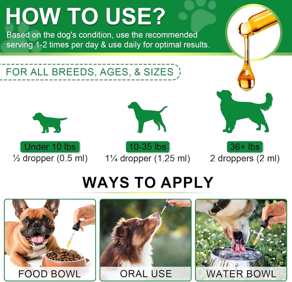 antibiotics-for-dogsnatural-antibiotics--4.jpg