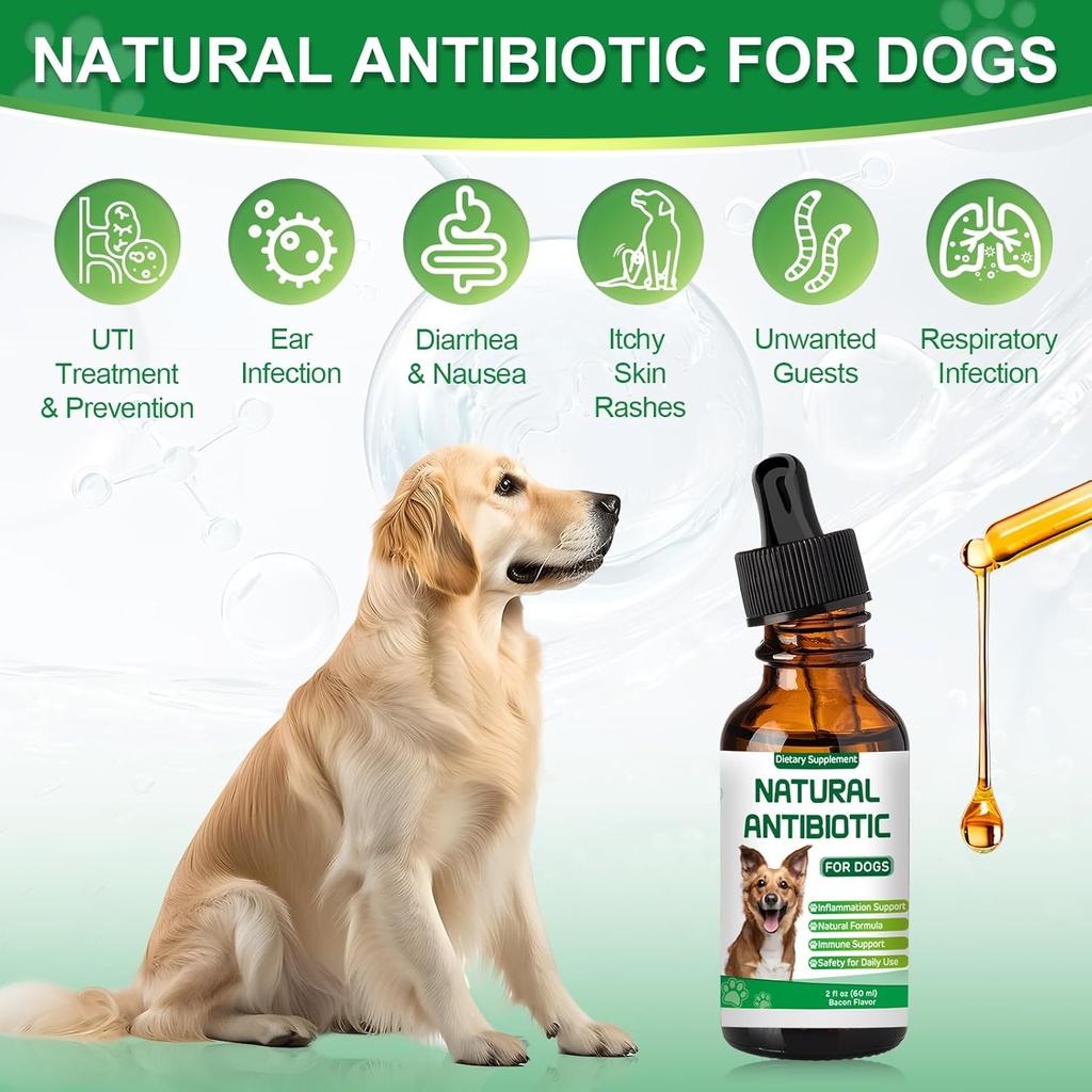antibiotics-for-dogsnatural-antibiotics--5.jpg