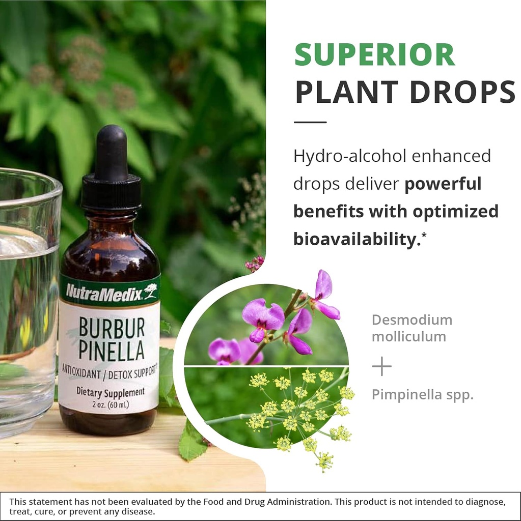 nutramedix-burbur-pinella-brain-health-s-5.jpg