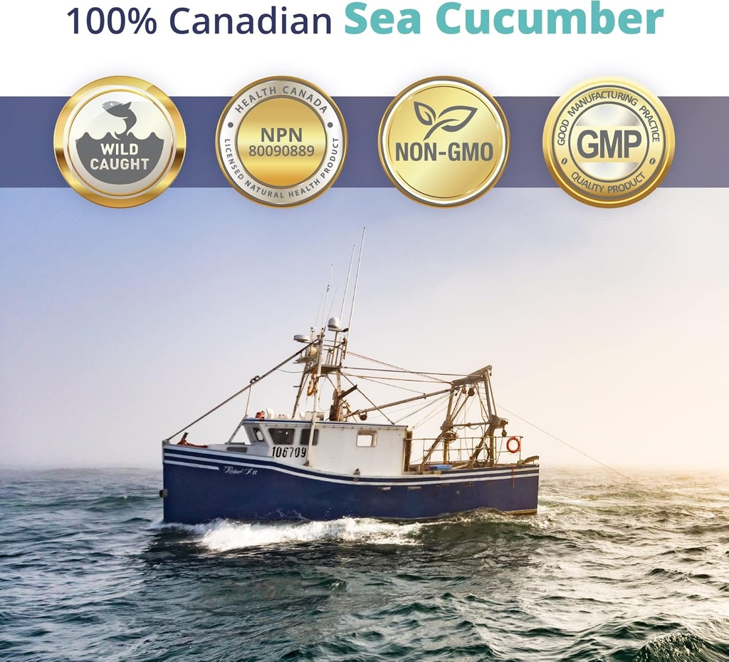 100-sea-cucumber-powder-capsule-30caps-2.jpg