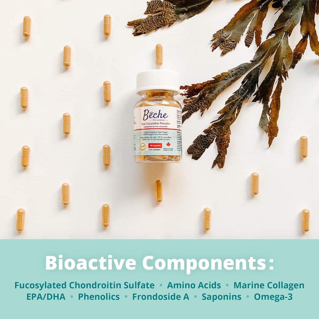 100-sea-cucumber-powder-capsule-30caps-4.jpg