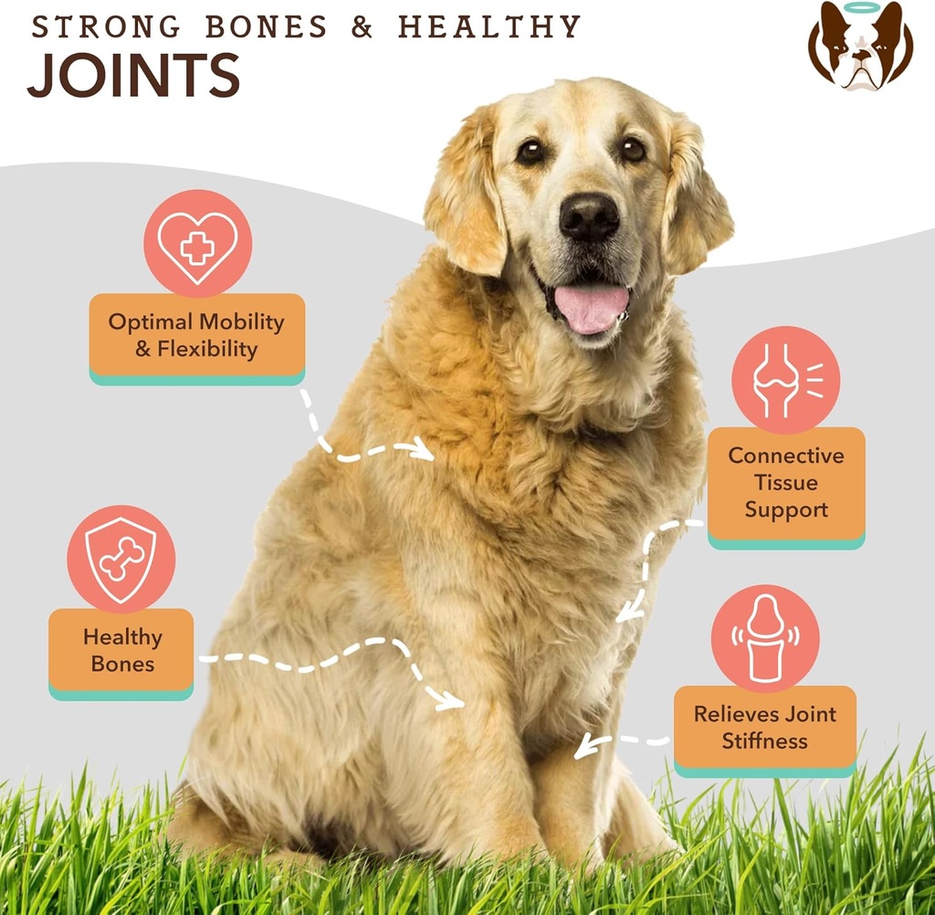 natural-dog-company-wellness-bundle-for--6.jpg