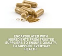 evergreen-herbs-supplement-herbal-capsul-2.jpg