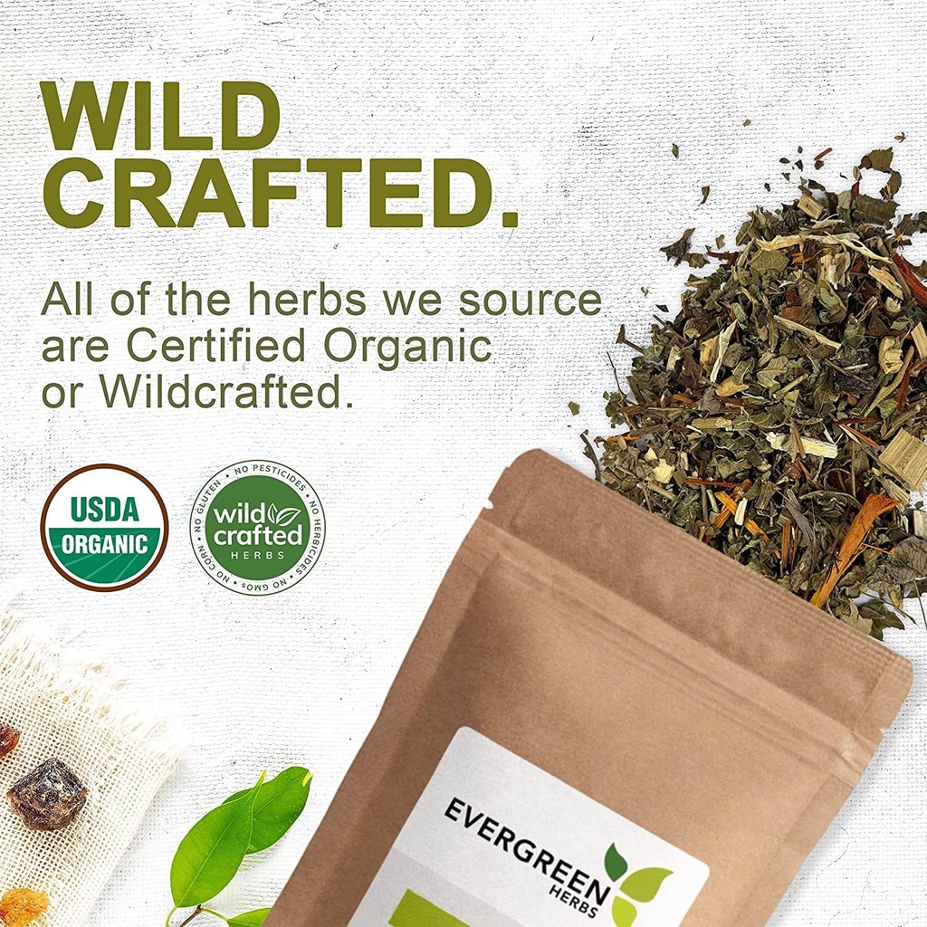 evergreen-herbs-supplement-herbal-capsul-4.jpg