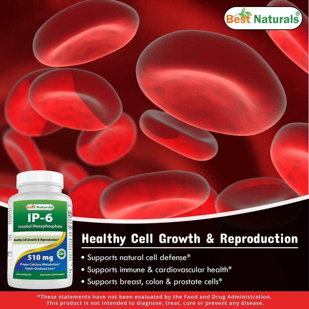 best-naturals-ip-6-510-mg-magnesium-oxid-4.jpg