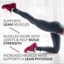pure-protein--high-protein-bar-chocolate-6.jpg