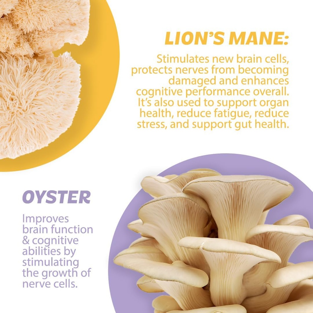 roots-focus-nootropic-brain-supplement---5.jpg
