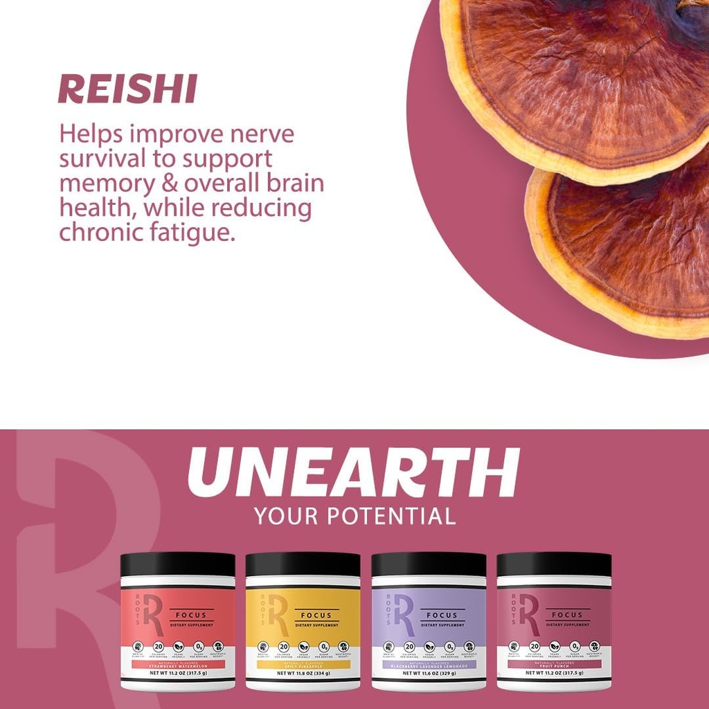 roots-focus-nootropic-brain-supplement---6.jpg