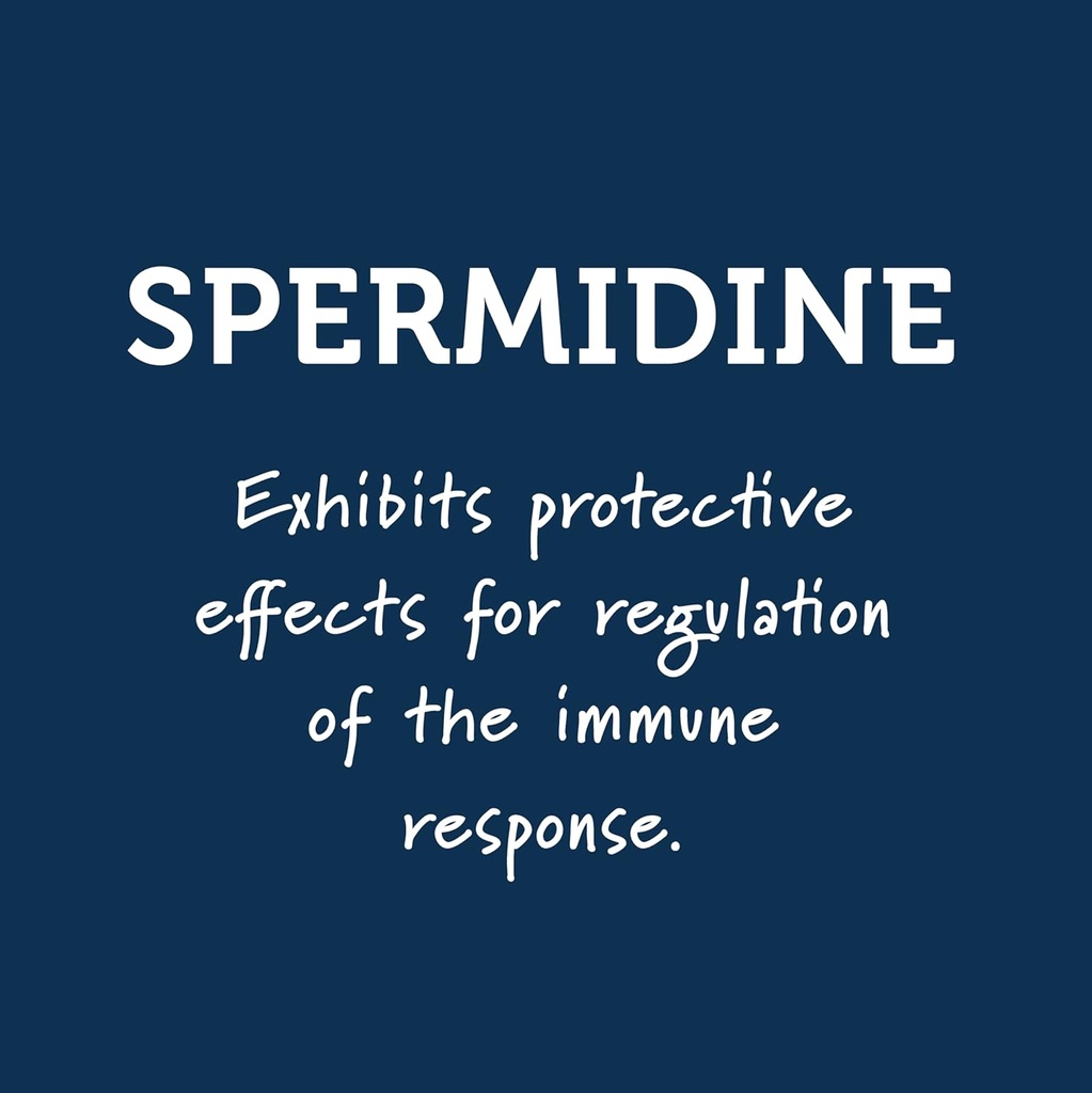 immunity-support-shots-with-organic-ging-4.jpg