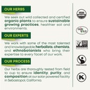 traditional-medicinals-tea-organic-mothe-6.jpg