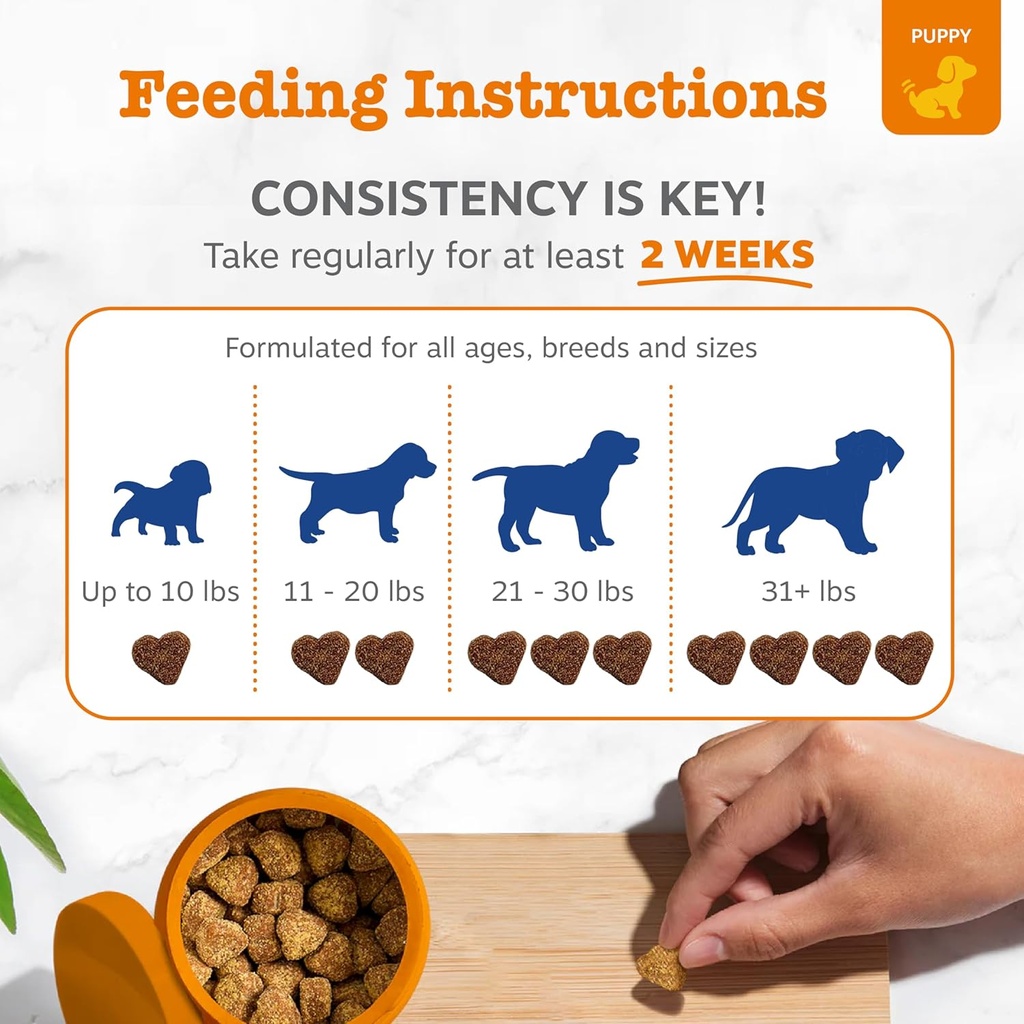 zesty-paws-dog-multivitamin-chewable-dog-5.jpg