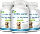turkey-tail-mushroom-for-dogs-to-support-5.jpg