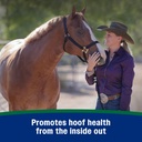 farnam-horseshoers-secret-pelleted-hoof--3.jpg