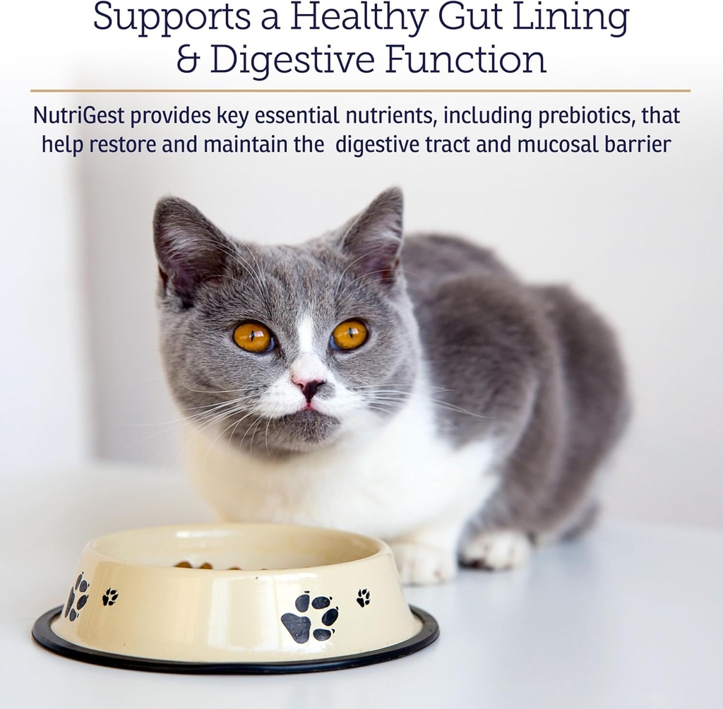 rx-vitamins-nutrigest---dog-probiotics-f-3.jpg