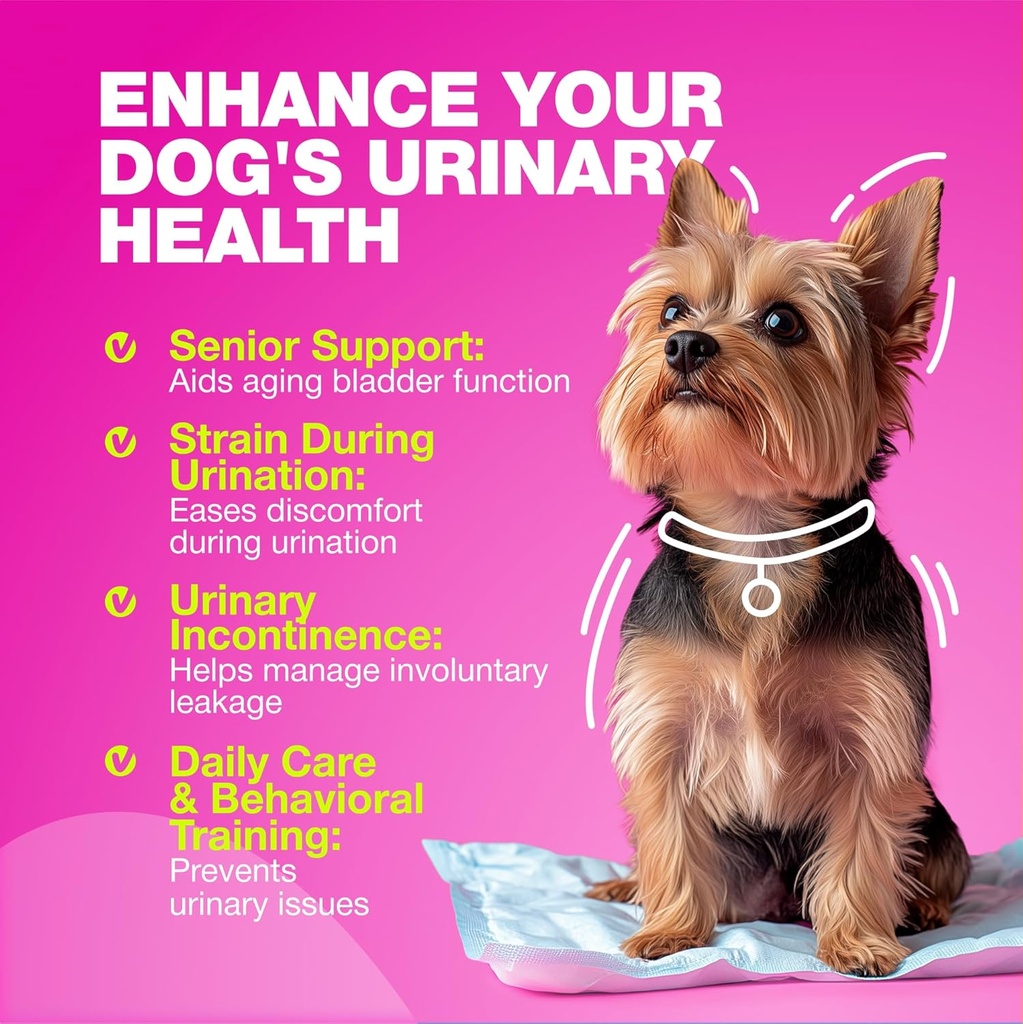 dog-uti-treatment---dog-cranberry-supple-4.jpg