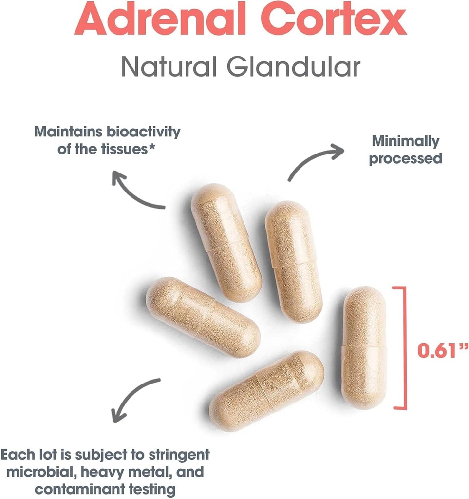 allergy-research-group-adrenal-cortex-su-5.jpg