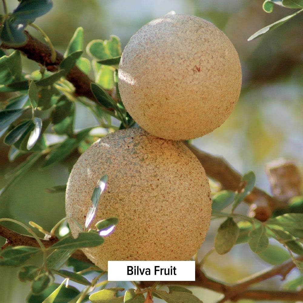 banyan-botanicals-bilva-powder---certifi-3.jpg