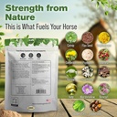 silver-lining-herbs-total-body-horse-sup-3.jpg