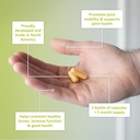 kalaya-7x-joint-support-supplement---des-2.jpg