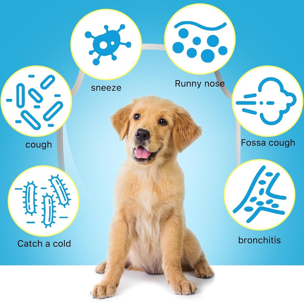 kennel-cough-treatment-for-dogs-kennel-c-3.jpg