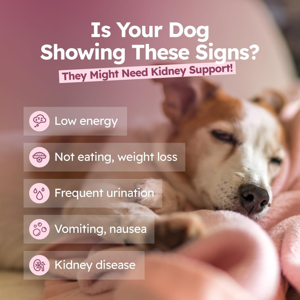 adrenal-support-drops-for-dogs-herbal-li-2.jpg