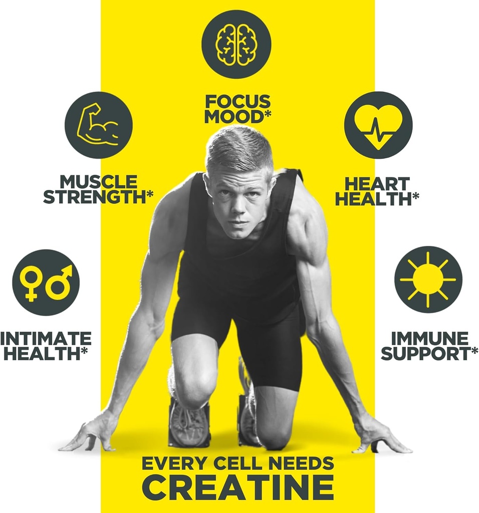 con-cret-creatine-hcl-powder-muscle-cogn-5.jpg