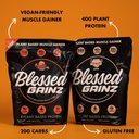 blessed-gainz-vegan-protein-powder-mass--5.jpg