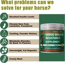 insulin-resistance-supplement-for-horses-2.jpg