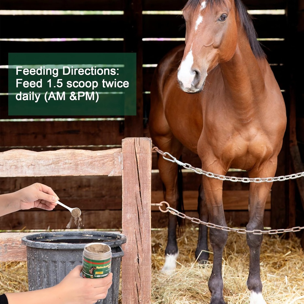 insulin-resistance-supplement-for-horses-6.jpg