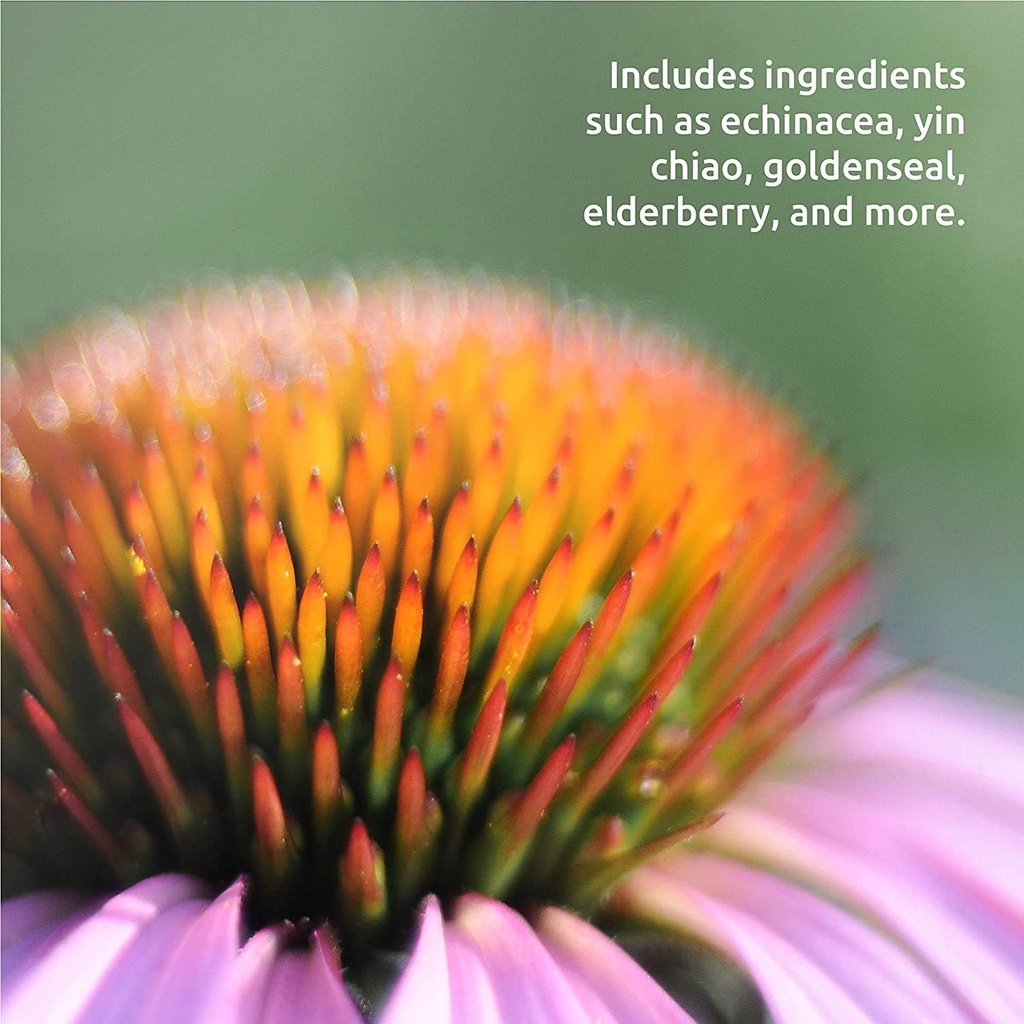 source-naturals-wellness-herbal-resistan-5.jpg