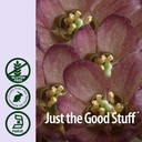 natures-answer-blue-cohosh-root-with-org-5.jpg