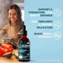 e2h-advanced-immune-defense-supplement---2.jpg