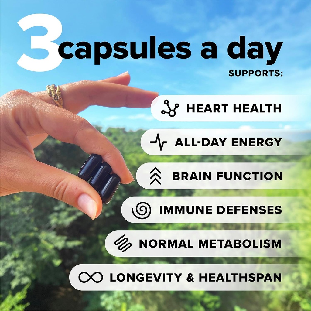 complement-essential-vegan-multivitamin--2.jpg