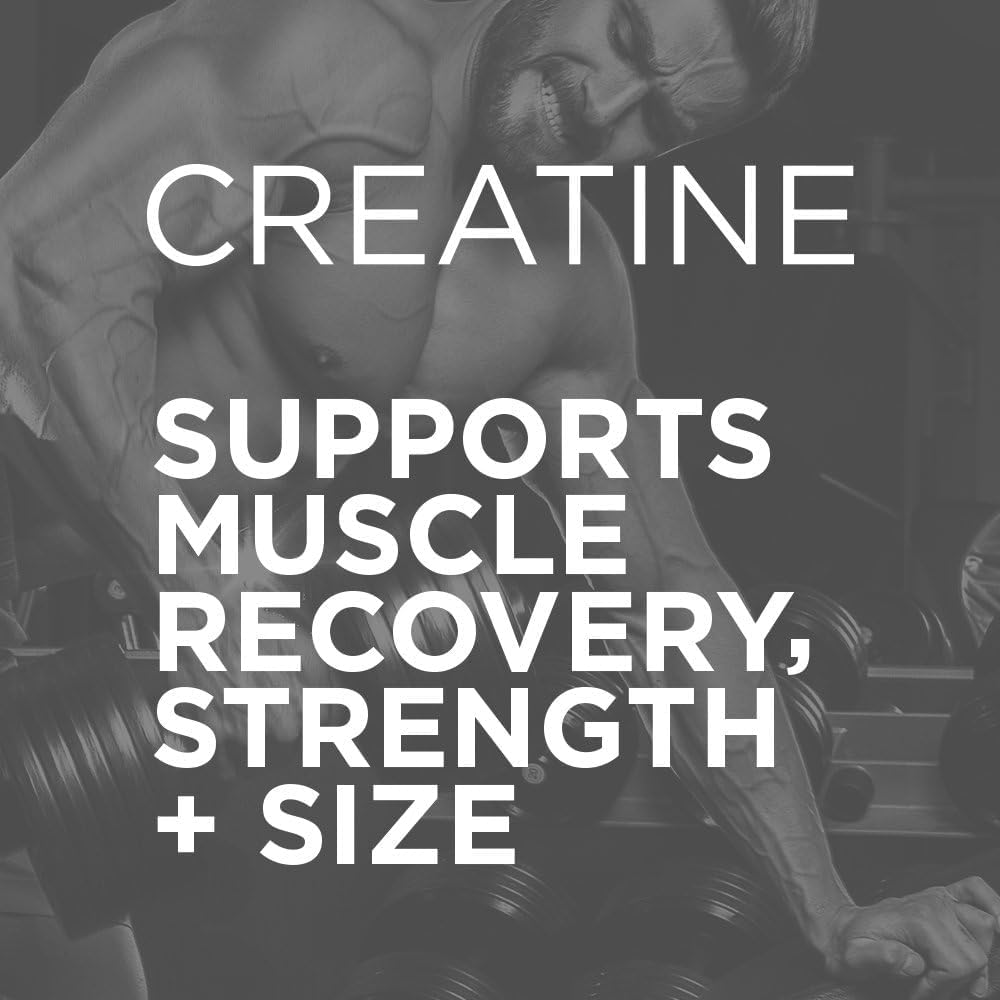 creapure-creatine-monohydrate-micronized-3.jpg