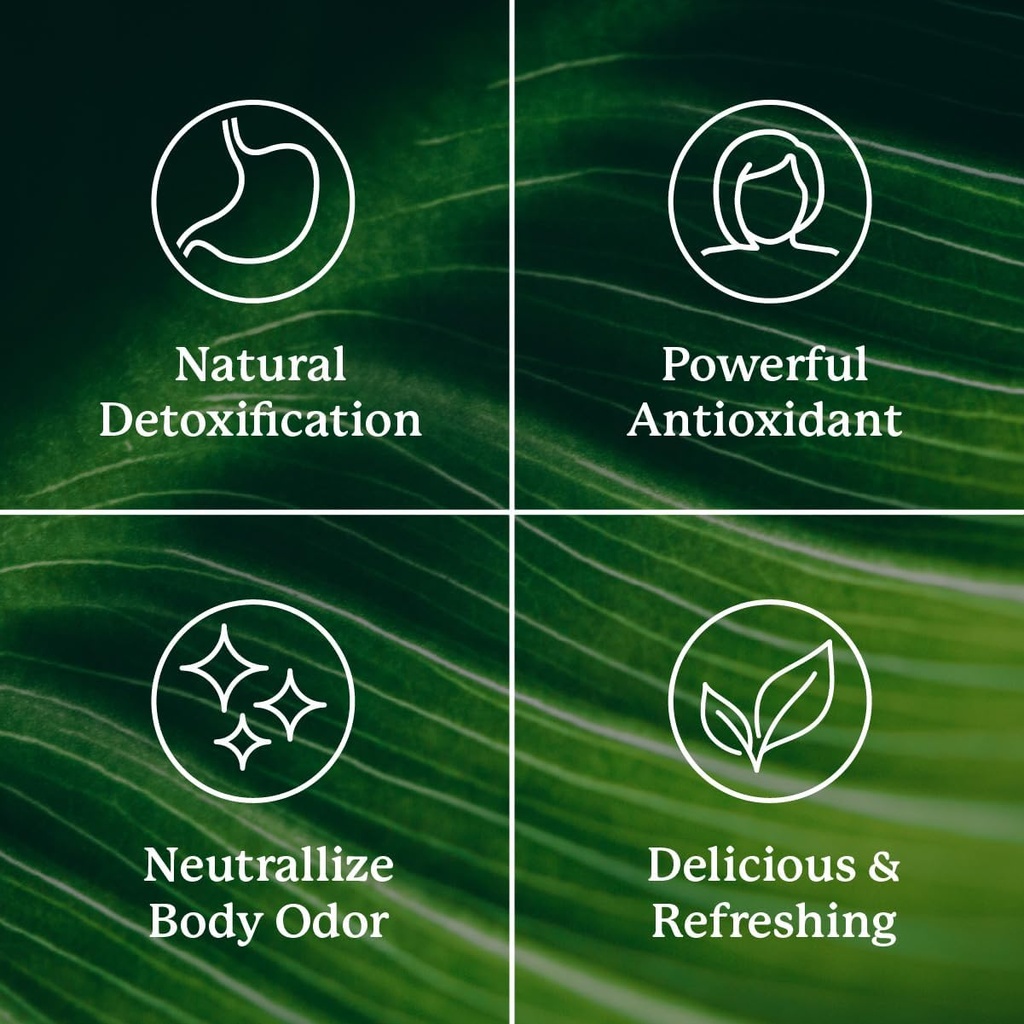 natures-sunshine-chlorophyll-stick-packs-5.jpg