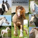 the-blissful-horses-summer-care-sun-butt-5.jpg