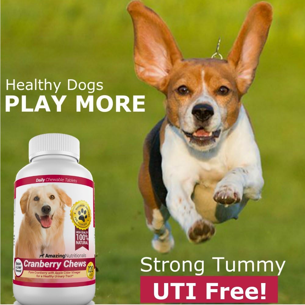 amazing-cranberry-for-dogs-pet-antioxida-4.jpg