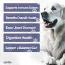 probiotics-for-dogs-160-chews-12-oz-supp-3.jpg